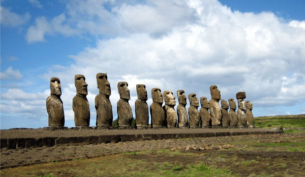 �D�lһ�l���ܽ�ĺ���Ϣ��