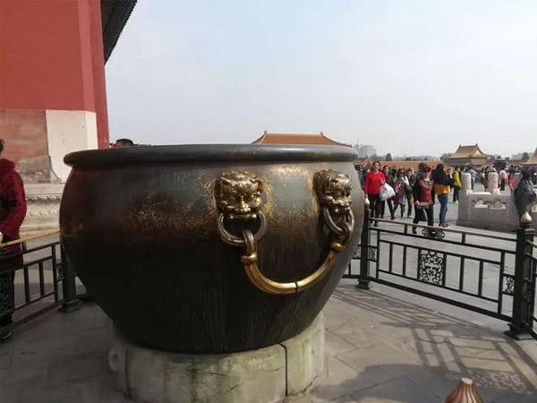 ��ʲô��ô����ϲ�g�T�~������������